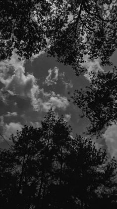 black and white photograph of trees with clouds in the background