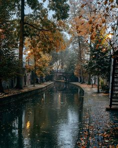 a river running through a city surrounded by trees and leaves on either side of the street