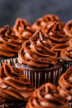 chocolate cupcakes with frosting on top