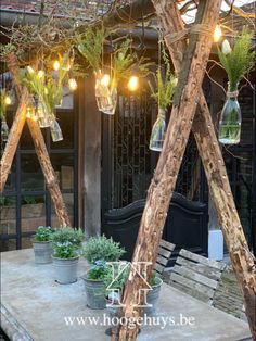 an outdoor area with potted plants and hanging lights