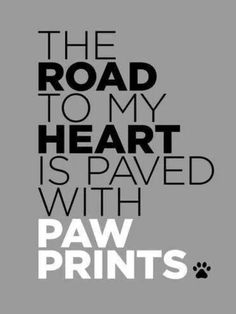 the road to my heart is paved with paw prints poster by naxart art