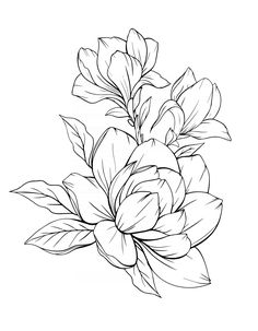 a black and white drawing of flowers