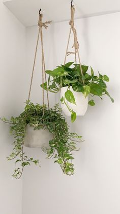 two hanging planters with plants in them