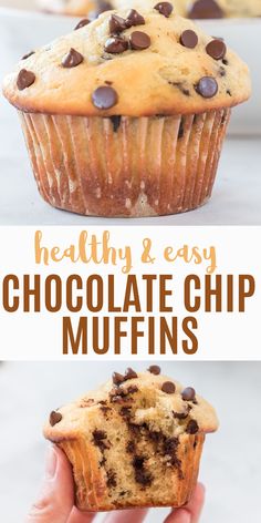 a person holding up a chocolate chip muffin in front of the camera and text overlay reads, greek yogurt chocolate chip muffins