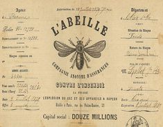 an old french document with a bee on it's back side and the words labelle written in french