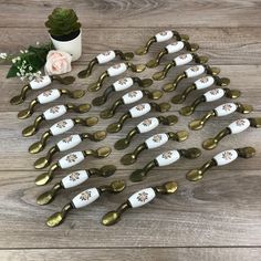 a bunch of gold spoons sitting on top of a wooden table next to a potted plant