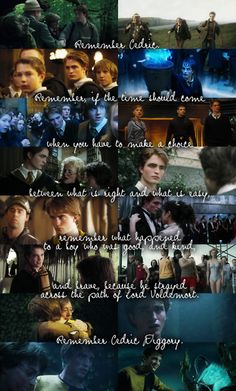 the twilight saga is shown in this collage, with many different scenes and words