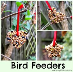 bird feeders hanging from branches with red ribbon