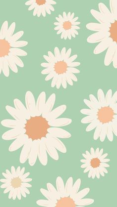 a green background with white daisies on the bottom and light pink petals in the middle