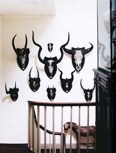 a baby crib with several animal heads mounted on the wall