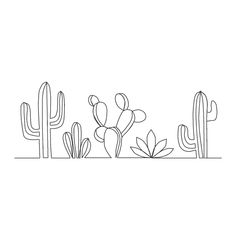 a line drawing of cactus plants