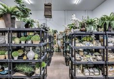 a room filled with lots of plants and potted plants on metal shelves next to each other