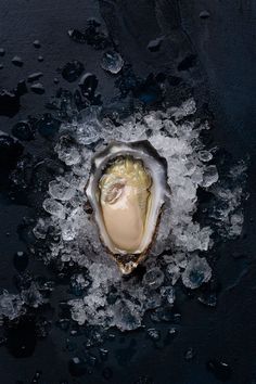 an oyster with ice and water on it