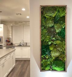 a kitchen with white cabinets and green plants on the wall