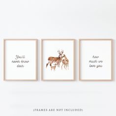 three framed deer prints with the words you'll never know dears are not included