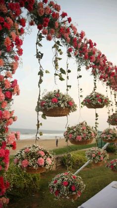 several hanging baskets filled with pink and red flowers next to the ocean on a sunny day