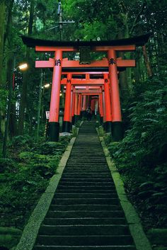 the stairs lead up to an orange torin in the forest with lights on them