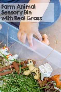 a child playing with toy farm animals and grass in a plastic bin on the floor