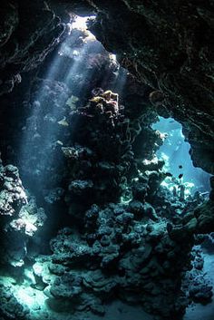 an underwater cave with sunlight coming through the water