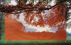 an orange piece of art sitting on top of a grass covered field next to a tree