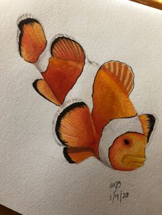 an orange and white clown fish is shown in this drawing