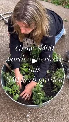 a woman kneeling down to plant some plants in a metal pot with the words grow $ 100 worth or herbs this $ 40 new garden