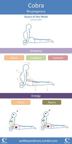 the different types of yoga poses are shown in this graphic diagram, which shows how to do