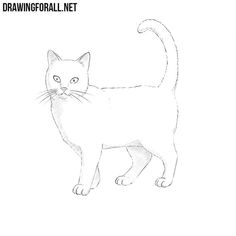 a drawing of a cat on a white background