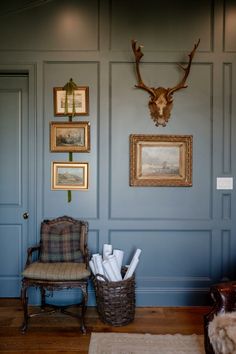 a room with blue walls and pictures on the wall, including a chair in front of a deer's head