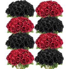 six red and black roses are arranged together