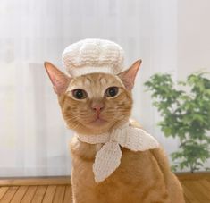 an orange cat wearing a white knitted hat and scarf on top of it's head