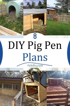 the 8 diy pig pen plans that are easy to build and great for small animals