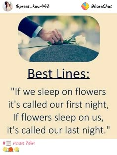 someone is placing flowers on the top of a rock and it's called best lines