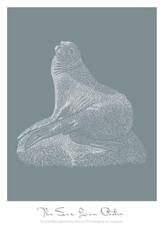 a drawing of a seal sitting on top of a rock