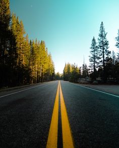 an empty road in the middle of a forest with pine trees on both sides and bright blue sky above