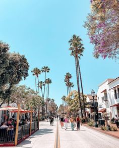 people are walking down the street in front of some palm trees and buildings on a sunny day