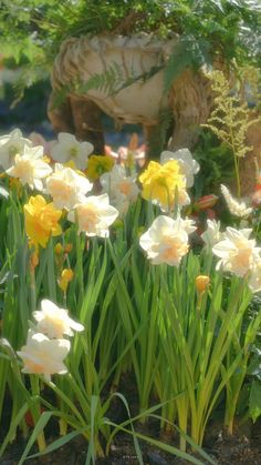 some yellow and white flowers are in the grass near a statue with a bird on it