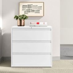 an office file cabinet with two drawers and a plant on top in front of a white wall