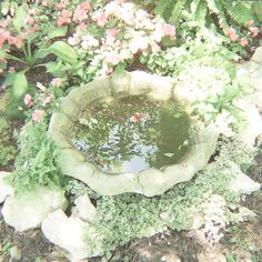 a bird bath surrounded by plants and flowers