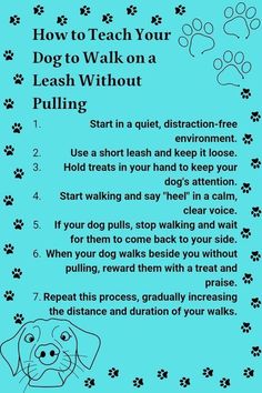 a blue poster with instructions for how to teach your dog to walk on a leash without pulling