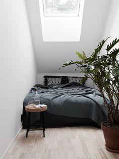 a bed sitting under a window next to a potted plant on top of a wooden floor