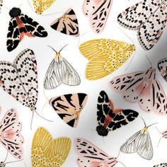 a bunch of butterflies that are on a white surface