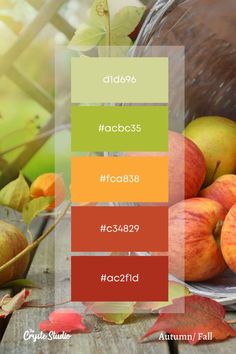 an image of apples on the table with autumn leaves and colors in the bottom row