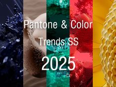 pantone and color trend for the year 2055 with text overlaying it