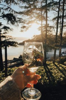 a person holding up a wine glass in front of the water and trees at sunset