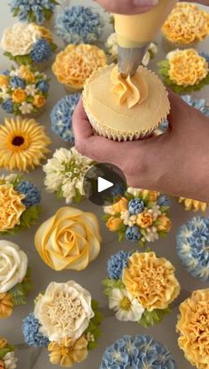 a person is decorating cupcakes with yellow and blue flowers