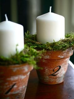 two white candles sitting on top of a wooden table next to a potted plant