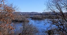 the river is surrounded by trees and bushes