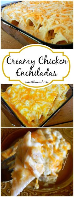 creamy chicken enchiladas are an easy and delicious side dish