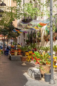 an open air market with lots of plants and umbrellas hanging from the buildings above